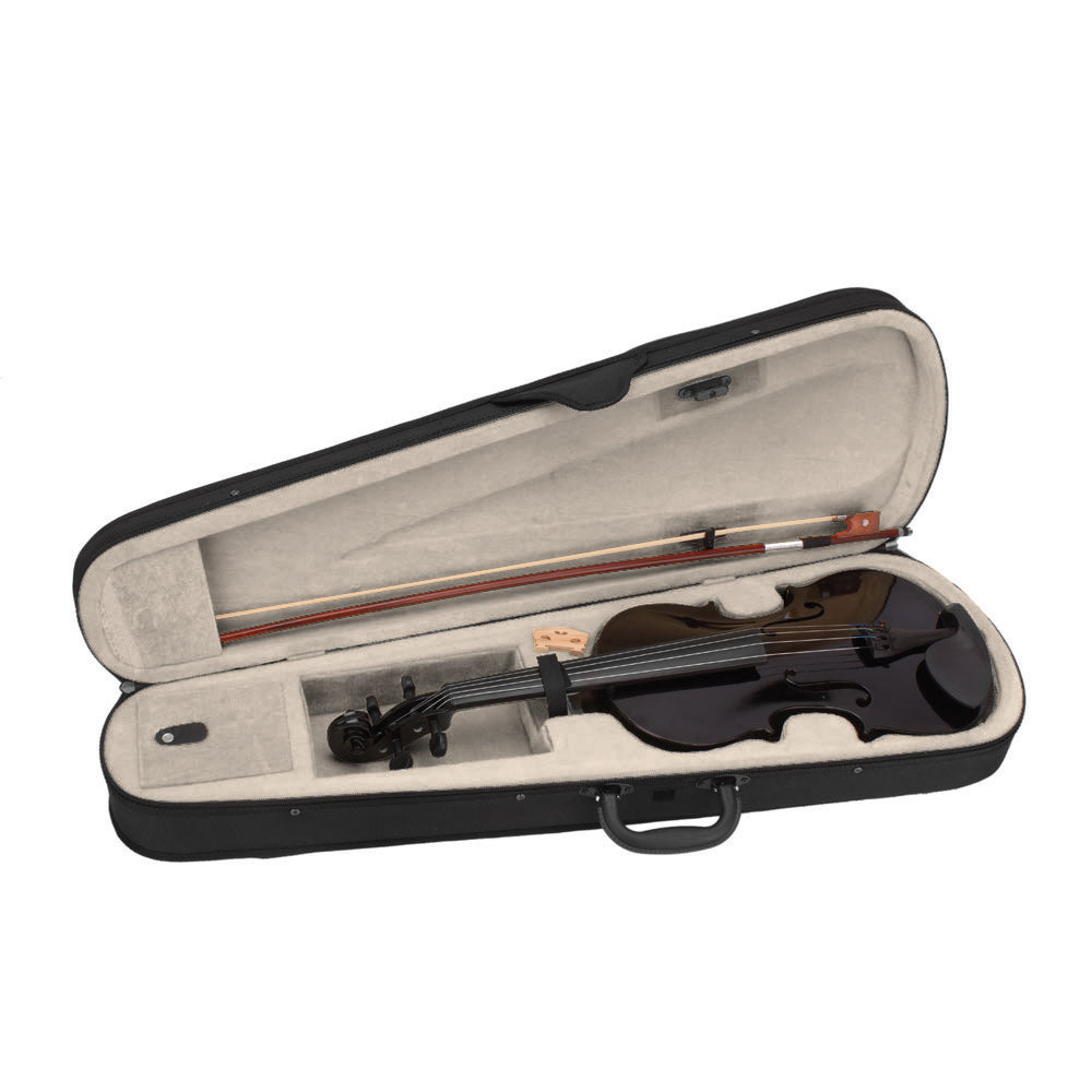 Black Acoustic Violin