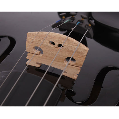 Black Acoustic Violin