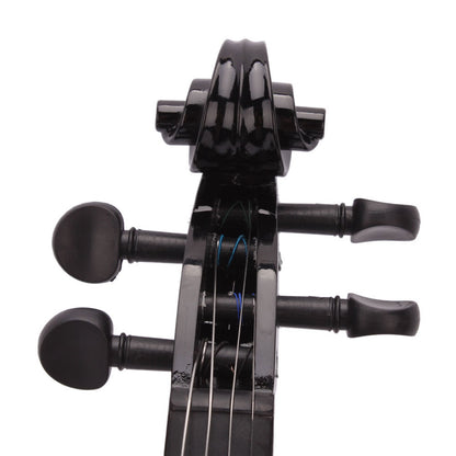 Black Acoustic Violin
